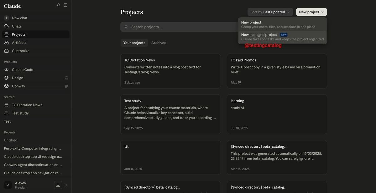 Anthropic develops Claude-driven Managed Projects