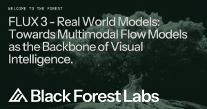 FLUX 3 - Real World Models: Towards Multimodal Flow Models as the Backbone of Visual Intelligence.