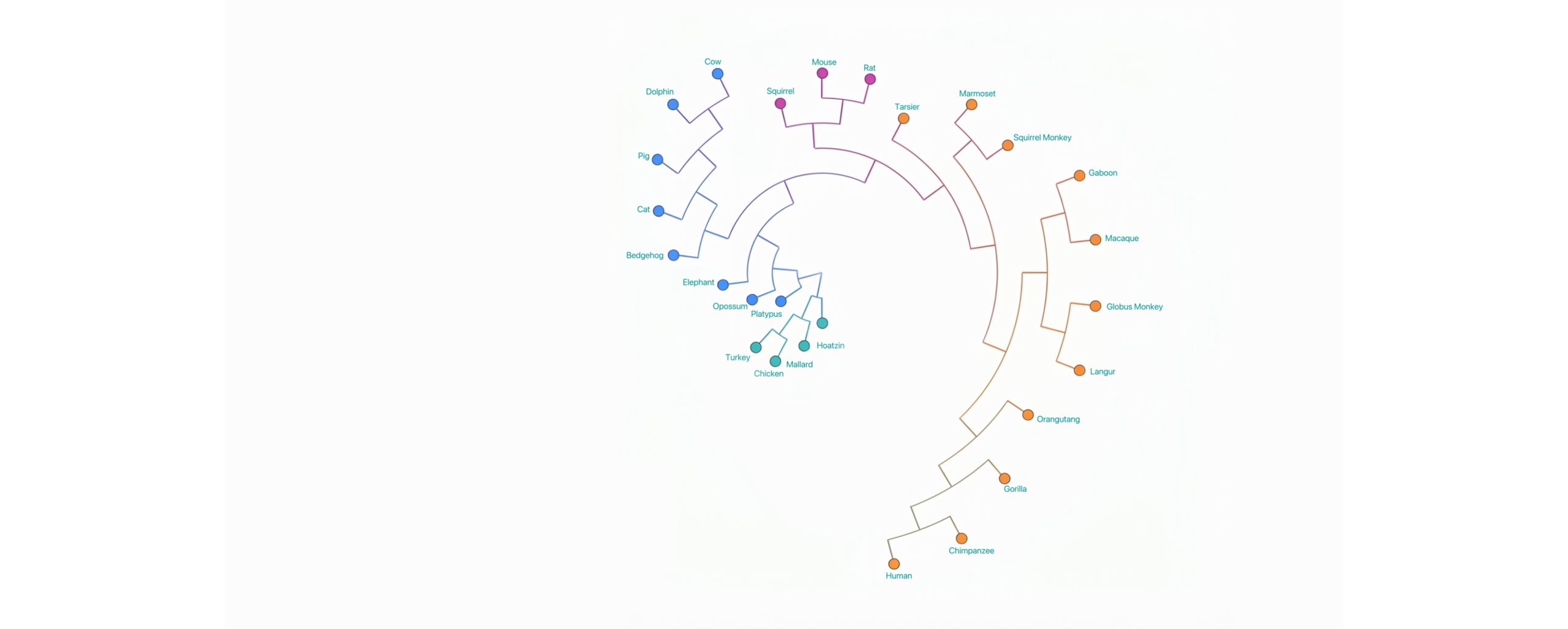 MirrorCode: What's the largest software project AI can complete on its own?